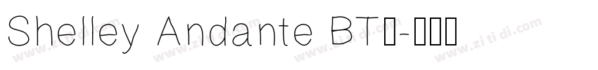 Shelley Andante BT字字体转换